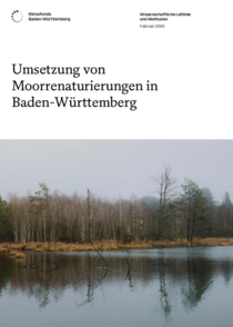Leitlinie: Umsetzung von Moorrenaturierungen in BW