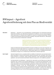 Steckbrief: BWimpact - Agroforst