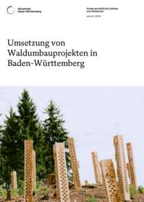 Leitlinie: Umsetzung von Waldumbauprojekten in BW