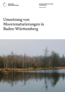 Leitlinie: Umsetzung von Moorrenaturierungen in BW