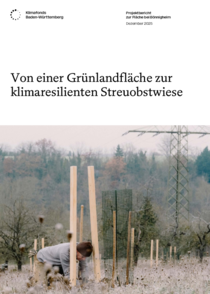 Projektbericht: Streuobstwiese in Bönnigheim