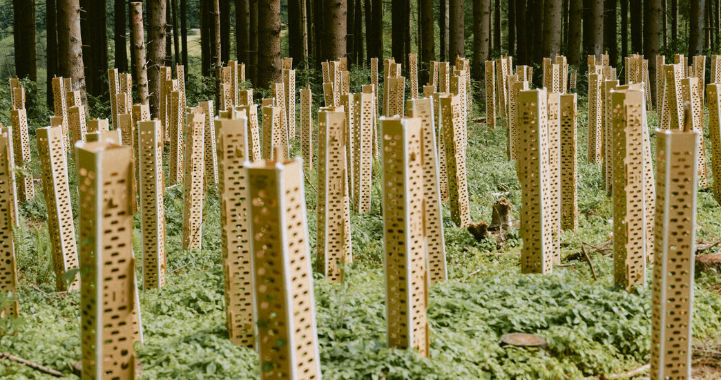 das ist der alt text für das linke Bild.