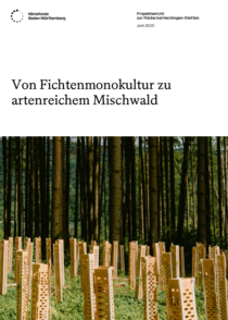 Projektbericht: Waldumbau in Hechingen